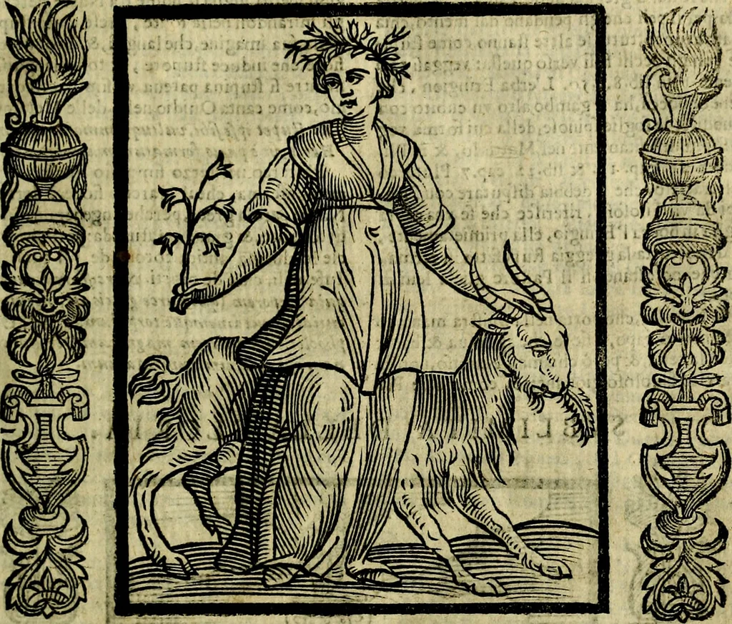 An illustration from Nova iconologia, 1618, leaf 524