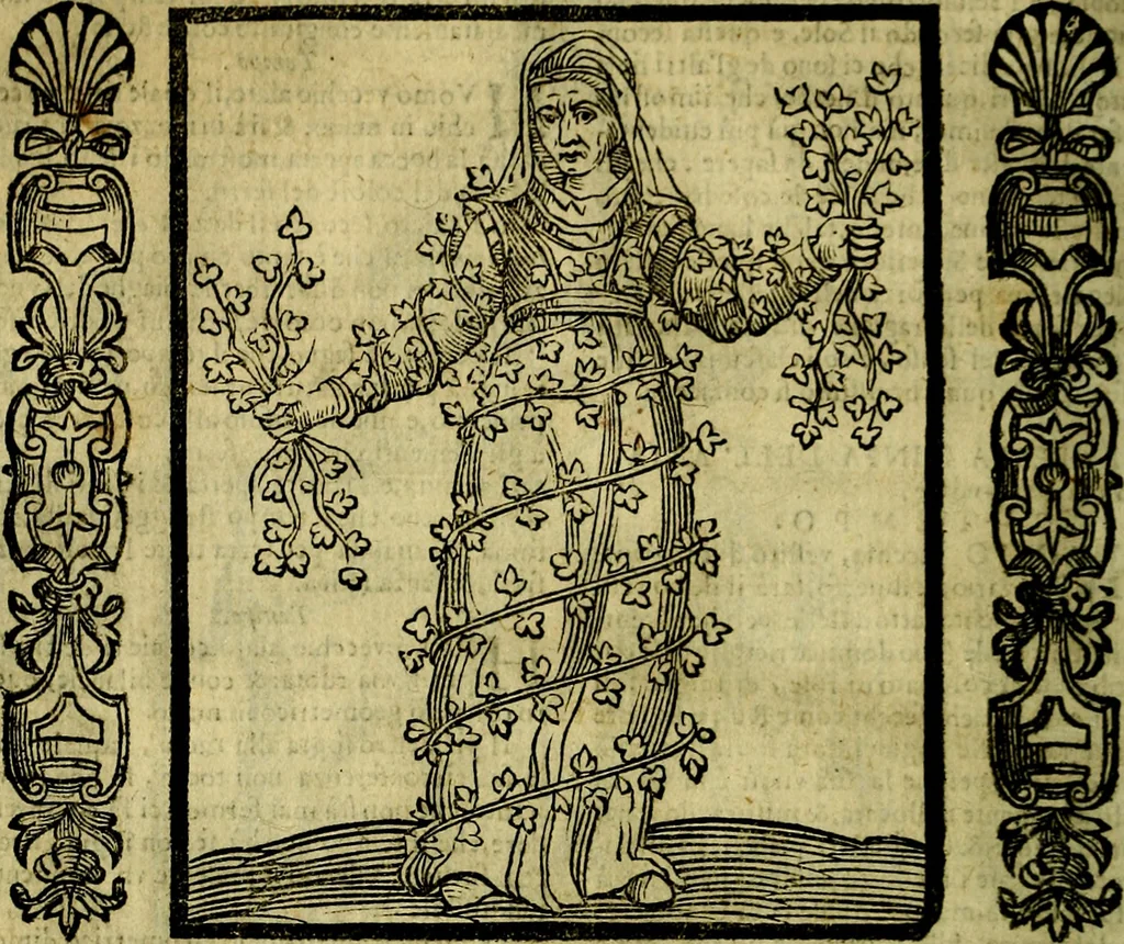 An illustration from Nova iconologia, 1618, leaf 535