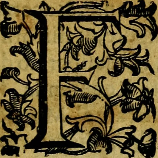 An illustration from Nova iconologia, 1618, leaf 6