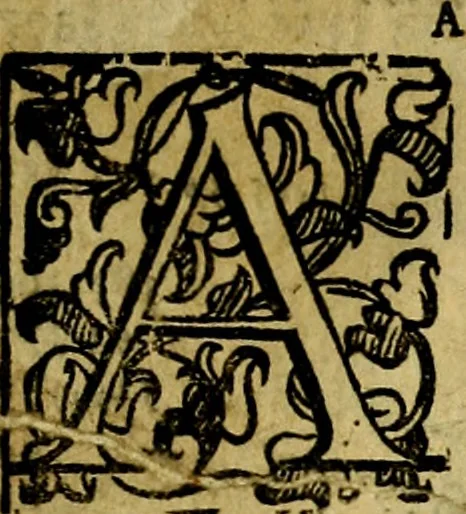 An illustration from Nova iconologia, 1618, leaf 670