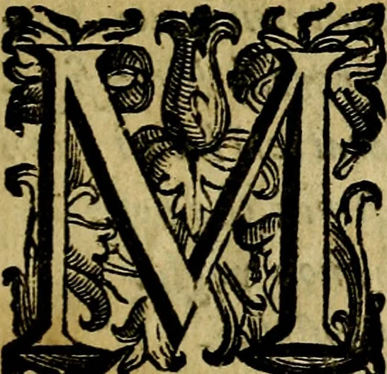 An illustration from Nova iconologia, 1618, leaf 8