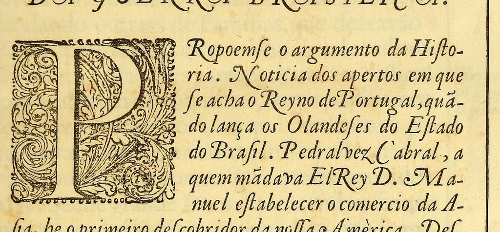 An illustration from Nova Lusitania, historia da guerra brasilica : a purissima alma e savdosa memoria do serenissimo principe dom Theodosio principe de Portugal, e principe do Brasil., 1675, leaf 23