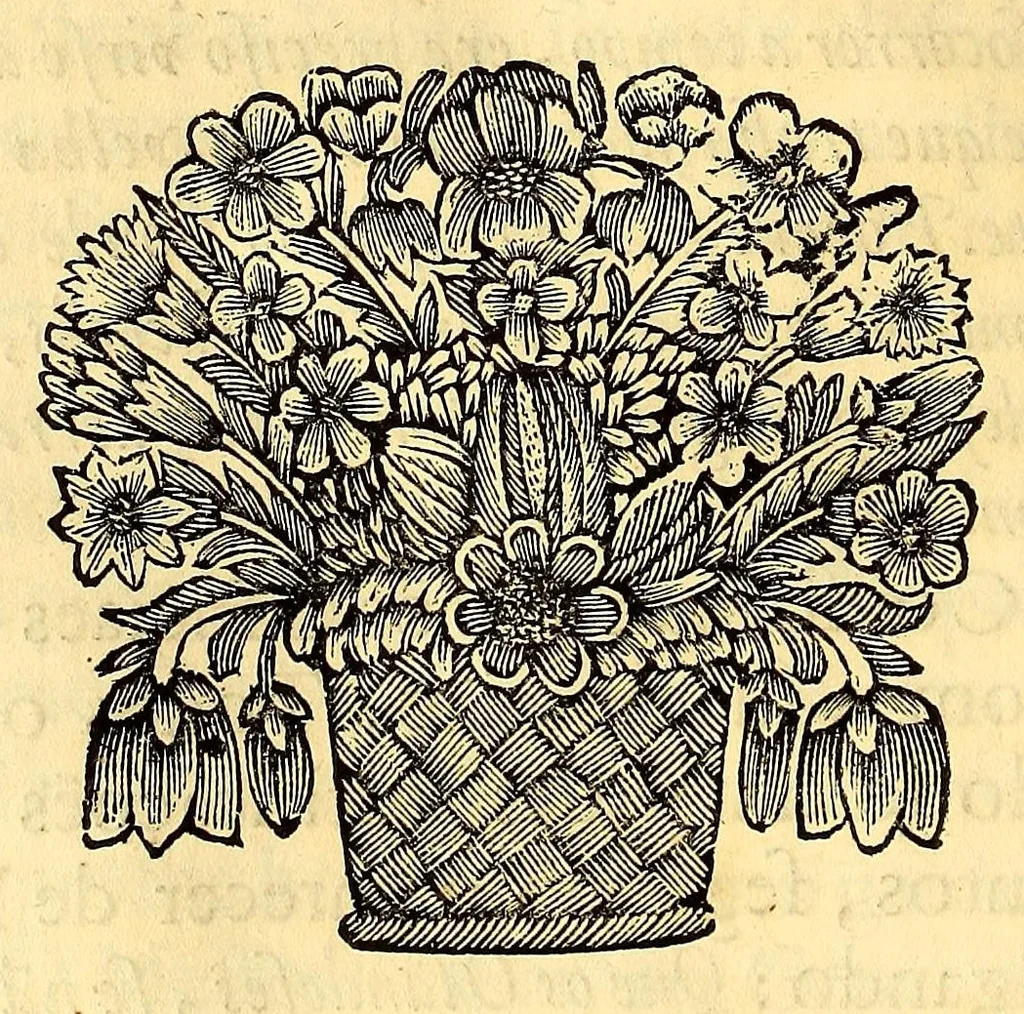 An illustration from Nova Lusitania, historia da guerra brasilica : a purissima alma e savdosa memoria do serenissimo principe dom Theodosio principe de Portugal, e principe do Brasil., 1675, leaf 440