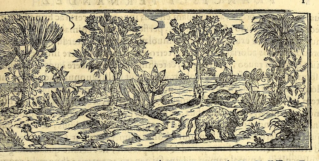An illustration from Nova plantarum, animalium et mineralium Mexicanorum historia, 1651, leaf 1007