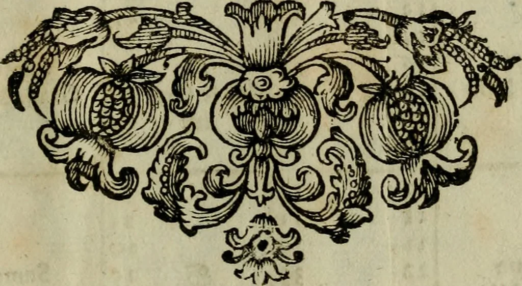 An illustration from Nova praxis construendi circinum proportionalem horographicum : eoque ritè confecto omnis generis horologia in planis regularibus et declinantibus expeditissimè et exactissimè delineandi, in proximi commodum typis proposita & figuris instructa, 1695, leaf 76