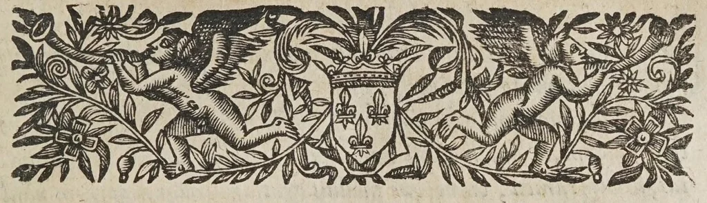 An illustration from Novarvm observationvm physico-mathematicarvm, 1647, leaf 37