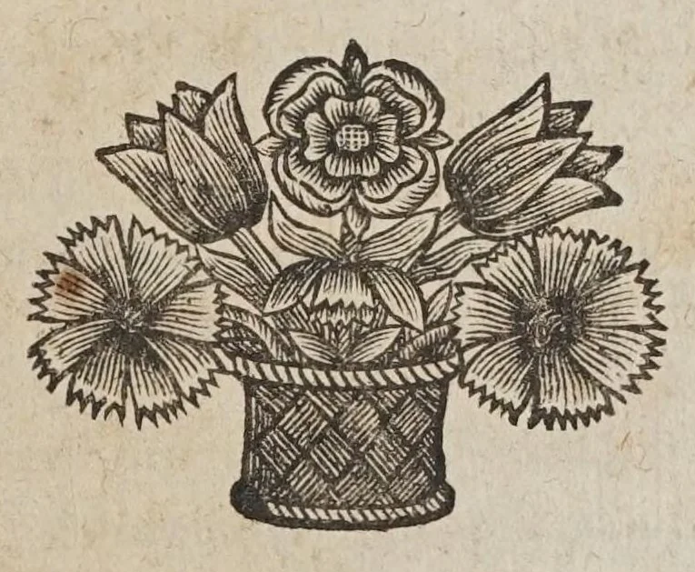 An illustration from Novarvm observationvm physico-mathematicarvm, 1647, leaf 7