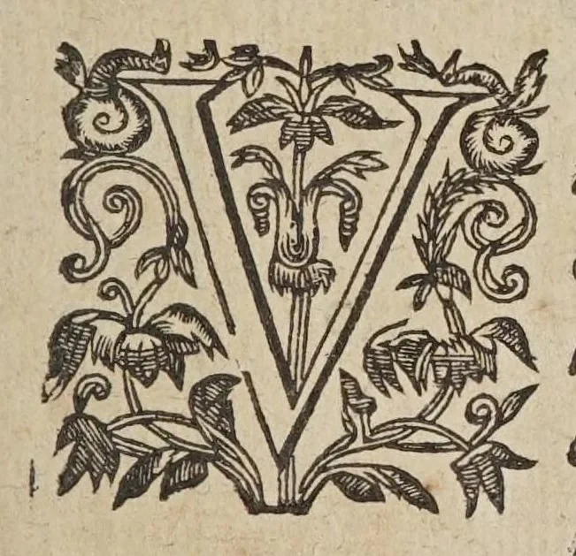 An illustration from Novarvm observationvm physico-mathematicarvm, 1647, leaf 9