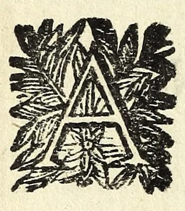 An illustration from Novelle amorose, 1656, leaf 8