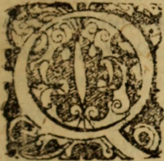 An illustration from Novi Jesu Christi Testamenti Græco Latino Germanicæ novæ editionis, pars prima : in qua una cum pietate, et verbis æternævitæ, tres linguæ, vel solæ, vel inter se collatæ unâ operâ & propemodum simul legi, & addisci compediosè à junioribus possint ... studio Eilhardi Ludbini .., 1617, leaf 10
