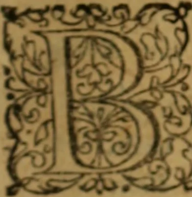 An illustration from Novi Jesu Christi Testamenti Græco Latino Germanicæ novæ editionis, pars prima : in qua una cum pietate, et verbis æternævitæ, tres linguæ, vel solæ, vel inter se collatæ unâ operâ & propemodum simul legi, & addisci compediosè à junioribus possint ... studio Eilhardi Ludbini .., 1617, leaf 54