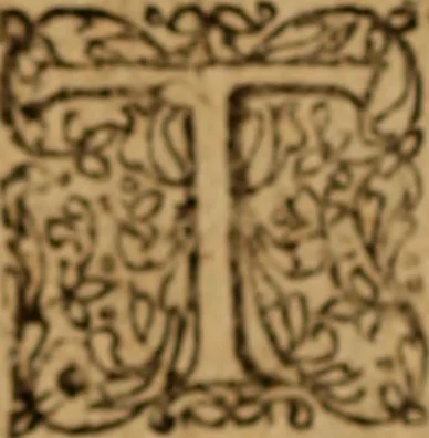 An illustration from Novi Jesu Christi Testamenti Græco Latino Germanicæ novæ editionis, pars prima : in qua una cum pietate, et verbis æternævitæ, tres linguæ, vel solæ, vel inter se collatæ unâ operâ & propemodum simul legi, & addisci compediosè à junioribus possint ... studio Eilhardi Ludbini .., 1617, leaf 711
