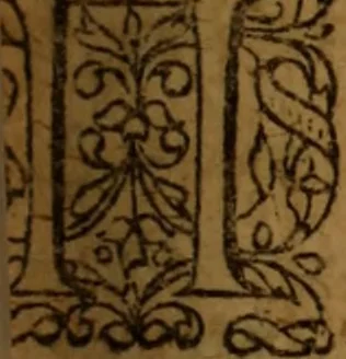 An illustration from Novi Jesu Christi Testamenti novæ editionis : Græco-Latino-Germanicæ interlinearis sive parallelæ, qua ad nobilissimam linguarum Græcam uná cum pietate et verbis æternæ vitæ addiscendam facilis et expedita via sternitur .., 1616, leaf 10