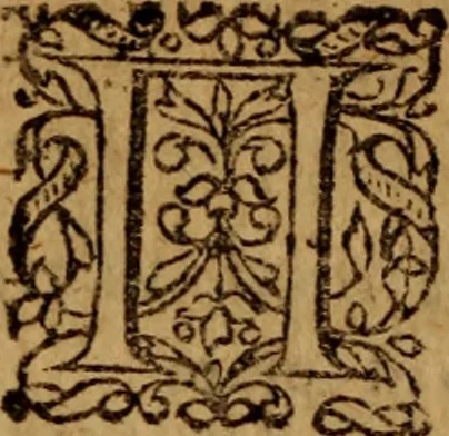 An illustration from Novi Jesu Christi Testamenti novæ editionis : Græco-Latino-Germanicæ interlinearis sive parallelæ, qua ad nobilissimam linguarum Græcam uná cum pietate et verbis æternæ vitæ addiscendam facilis et expedita via sternitur .., 1616, leaf 253