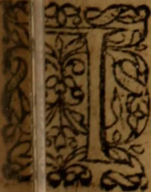 An illustration from Novi Jesu Christi Testamenti novæ editionis : Græco-Latino-Germanicæ interlinearis sive parallelæ, qua ad nobilissimam linguarum Græcam uná cum pietate et verbis æternæ vitæ addiscendam facilis et expedita via sternitur .., 1616, leaf 270