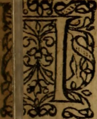An illustration from Novi Jesu Christi Testamenti novæ editionis : Græco-Latino-Germanicæ interlinearis sive parallelæ, qua ad nobilissimam linguarum Græcam uná cum pietate et verbis æternæ vitæ addiscendam facilis et expedita via sternitur .., 1616, leaf 304