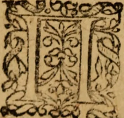 An illustration from Novi Jesu Christi Testamenti novæ editionis : Græco-Latino-Germanicæ interlinearis sive parallelæ, qua ad nobilissimam linguarum Græcam uná cum pietate et verbis æternæ vitæ addiscendam facilis et expedita via sternitur .., 1616, leaf 331