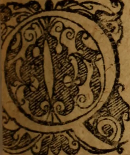An illustration from Novi Jesu Christi Testamenti novæ editionis : Græco-Latino-Germanicæ interlinearis sive parallelæ, qua ad nobilissimam linguarum Græcam uná cum pietate et verbis æternæ vitæ addiscendam facilis et expedita via sternitur .., 1616, leaf 4