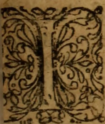 An illustration from Novi Jesu Christi Testamenti novæ editionis : Græco-Latino-Germanicæ interlinearis sive parallelæ, qua ad nobilissimam linguarum Græcam uná cum pietate et verbis æternæ vitæ addiscendam facilis et expedita via sternitur .., 1616, leaf 490