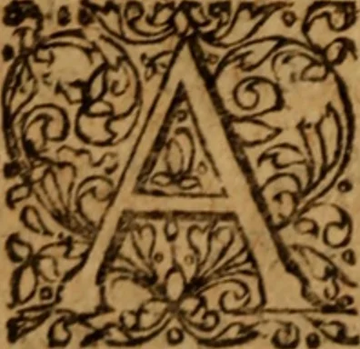 An illustration from Novi Jesu Christi Testamenti novæ editionis : Græco-Latino-Germanicæ interlinearis sive parallelæ, qua ad nobilissimam linguarum Græcam uná cum pietate et verbis æternæ vitæ addiscendam facilis et expedita via sternitur .., 1616, leaf 495