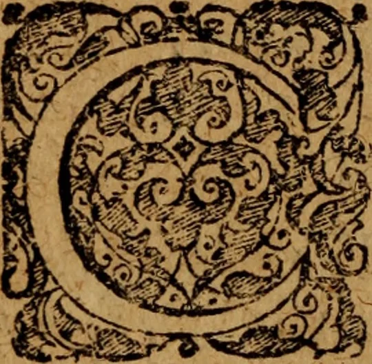 An illustration from Novi Jesu Christi Testamenti novæ editionis : Græco-Latino-Germanicæ interlinearis sive parallelæ, qua ad nobilissimam linguarum Græcam uná cum pietate et verbis æternæ vitæ addiscendam facilis et expedita via sternitur .., 1616, leaf 605