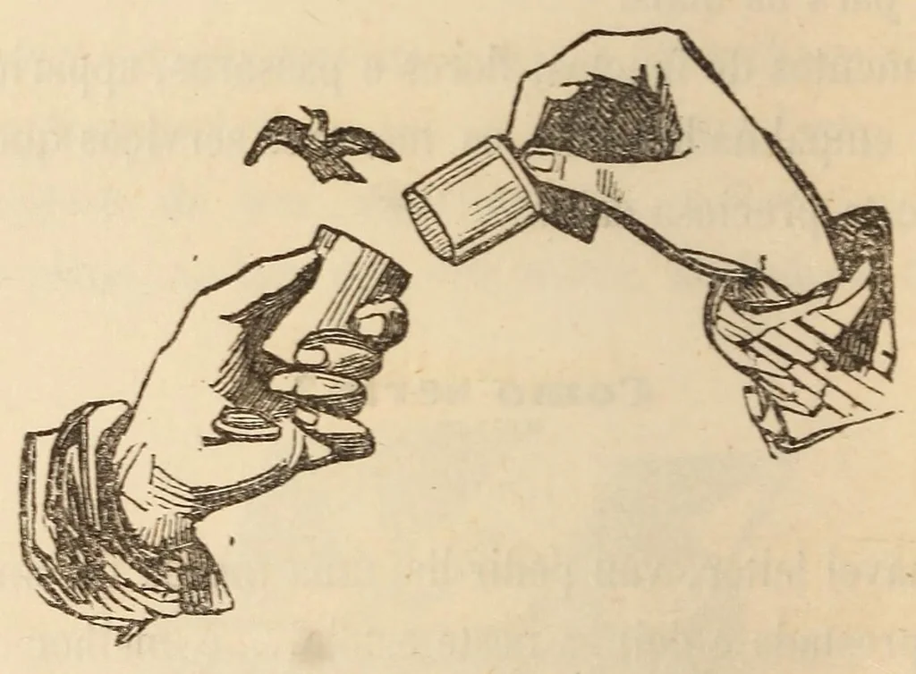 An illustration from Novo manual do prestigiador, 1870, leaf 106