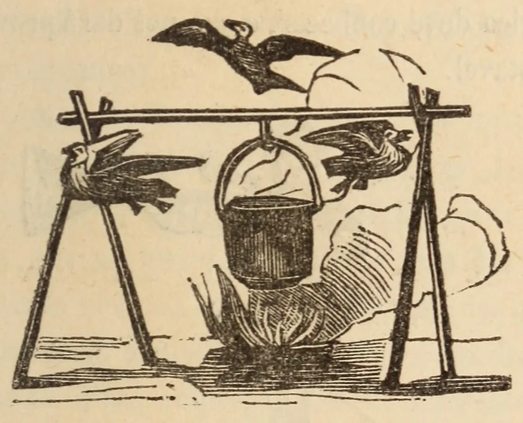 An illustration from Novo manual do prestigiador, 1870, leaf 141