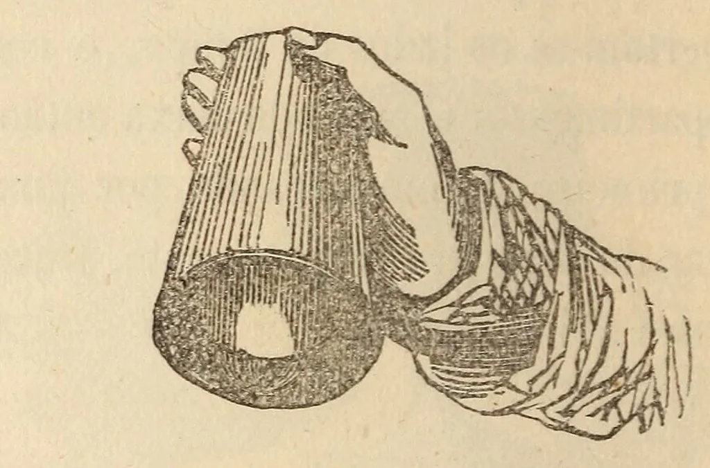 An illustration from Novo manual do prestigiador, 1870, leaf 86