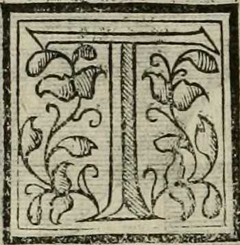 An illustration from Novo teatro di machine et edificii per uarie et sicure operationi : co[n] le loro figure tagliate in rame é la dichiaratione, e dimostratione di ciascuna : opera necesaria ad architetti, e a quelli, ch[e] di tale studio si dilettano, 1607, leaf 109