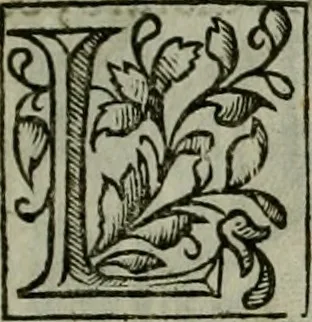 An illustration from Novo teatro di machine et edificii per uarie et sicure operationi : co[n] le loro figure tagliate in rame é la dichiaratione, e dimostratione di ciascuna : opera necesaria ad architetti, e a quelli, ch[e] di tale studio si dilettano, 1607, leaf 20
