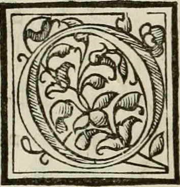 An illustration from Novo teatro di machine et edificii per uarie et sicure operationi : co[n] le loro figure tagliate in rame é la dichiaratione, e dimostratione di ciascuna : opera necesaria ad architetti, e a quelli, ch[e] di tale studio si dilettano, 1607, leaf 39