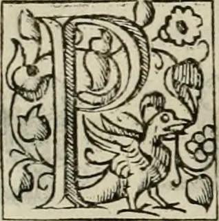An illustration from Novo teatro di machine et edificii per uarie et sicure operationi : co[n] le loro figure tagliate in rame é la dichiaratione, e dimostratione di ciascuna : opera necesaria ad architetti, e a quelli, ch[e] di tale studio si dilettano, 1607, leaf 47