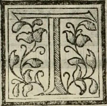 An illustration from Novo teatro di machine et edificii per uarie et sicure operationi : co[n] le loro figure tagliate in rame é la dichiaratione, e dimostratione di ciascuna : opera necesaria ad architetti, e a quelli, ch[e] di tale studio si dilettano, 1607, leaf 53