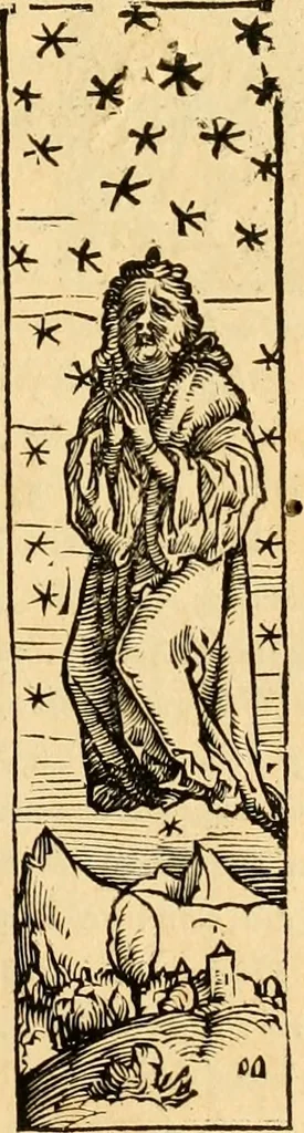 An illustration from Novum Testamentum omne, multo quàm antehac diligentius ab Erasmo Roterodamo recognitu, emedatum ac translatum ... : uná cu annotationibus recognitis, ac magna accessione locupletatis ..., 1519, leaf 102
