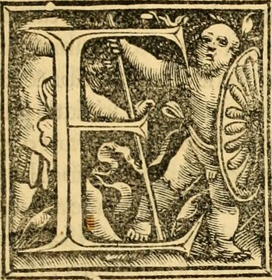 An illustration from Novum Testamentum omne, multo quàm antehac diligentius ab Erasmo Roterodamo recognitu, emedatum ac translatum ... : uná cu annotationibus recognitis, ac magna accessione locupletatis ..., 1519, leaf 238