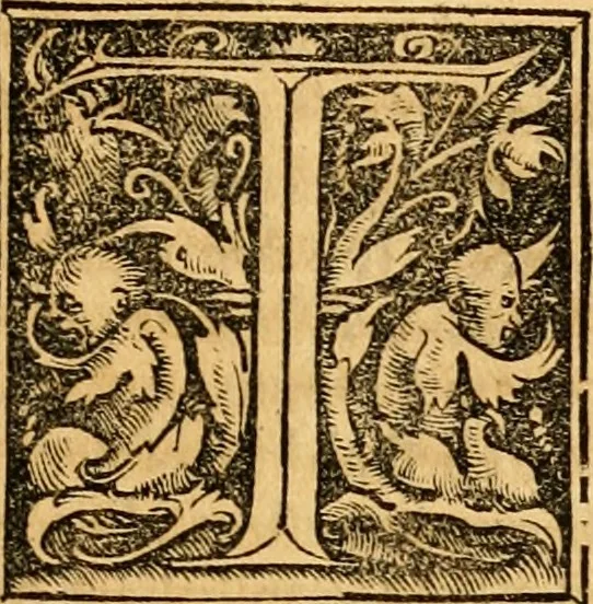 An illustration from Novum Testamentum omne, multo quàm antehac diligentius ab Erasmo Roterodamo recognitu, emedatum ac translatum ... : uná cu annotationibus recognitis, ac magna accessione locupletatis ..., 1519, leaf 368