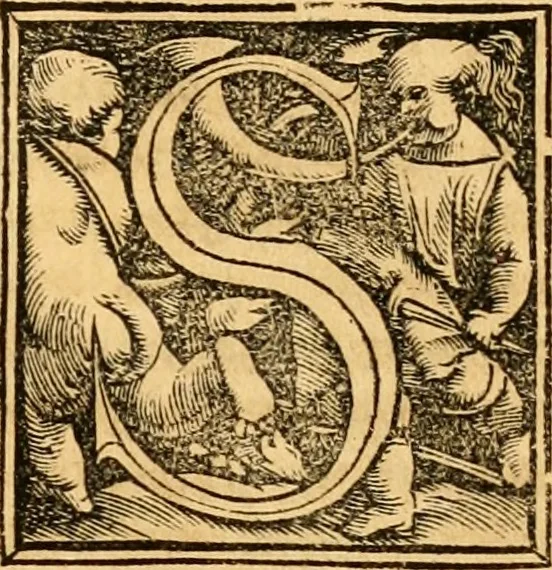 An illustration from Novum Testamentum omne, multo quàm antehac diligentius ab Erasmo Roterodamo recognitu, emedatum ac translatum ... : uná cu annotationibus recognitis, ac magna accessione locupletatis ..., 1519, leaf 368
