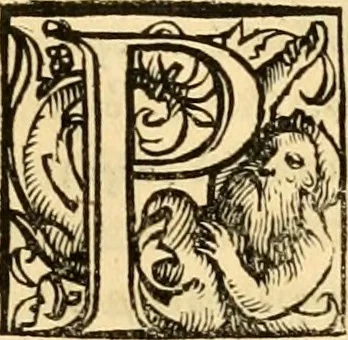 An illustration from Novum Testamentum omne, multo quàm antehac diligentius ab Erasmo Roterodamo recognitu, emedatum ac translatum ... : uná cu annotationibus recognitis, ac magna accessione locupletatis ..., 1519, leaf 478