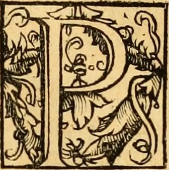 An illustration from Novum Testamentum omne, multo quàm antehac diligentius ab Erasmo Roterodamo recognitu, emedatum ac translatum ... : uná cu annotationibus recognitis, ac magna accessione locupletatis ..., 1519, leaf 506