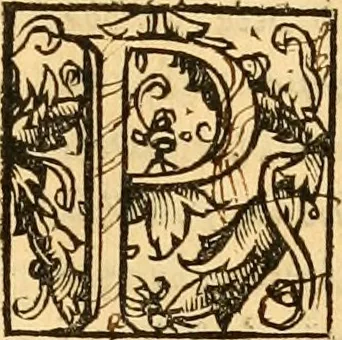 An illustration from Novum Testamentum omne, multo quàm antehac diligentius ab Erasmo Roterodamo recognitu, emedatum ac translatum ... : uná cu annotationibus recognitis, ac magna accessione locupletatis ..., 1519, leaf 526
