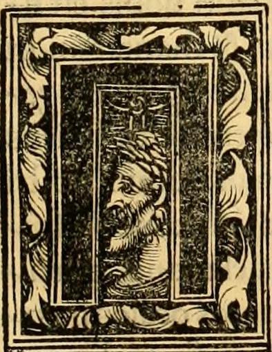 An illustration from Novum Testamentum omne, multo quàm antehac diligentius ab Erasmo Roterodamo recognitu, emedatum ac translatum ... : uná cu annotationibus recognitis, ac magna accessione locupletatis ..., 1519, leaf 536