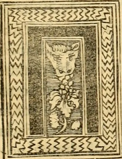 An illustration from Novum Testamentum omne, multo quàm antehac diligentius ab Erasmo Roterodamo recognitu, emedatum ac translatum ... : uná cu annotationibus recognitis, ac magna accessione locupletatis ..., 1519, leaf 562