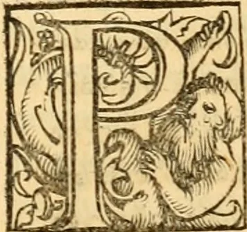 An illustration from Novum Testamentum omne, multo quàm antehac diligentius ab Erasmo Roterodamo recognitu, emedatum ac translatum ... : uná cu annotationibus recognitis, ac magna accessione locupletatis ..., 1519, leaf 562