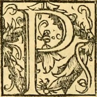 An illustration from Novum Testamentum omne, multo quàm antehac diligentius ab Erasmo Roterodamo recognitu, emedatum ac translatum ... : uná cu annotationibus recognitis, ac magna accessione locupletatis ..., 1519, leaf 569