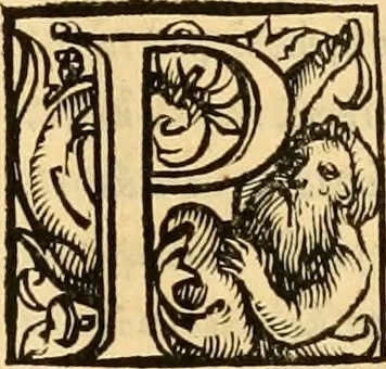 An illustration from Novum Testamentum omne, multo quàm antehac diligentius ab Erasmo Roterodamo recognitu, emedatum ac translatum ... : uná cu annotationibus recognitis, ac magna accessione locupletatis ..., 1519, leaf 582