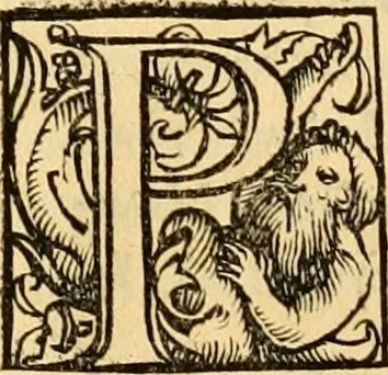 An illustration from Novum Testamentum omne, multo quàm antehac diligentius ab Erasmo Roterodamo recognitu, emedatum ac translatum ... : uná cu annotationibus recognitis, ac magna accessione locupletatis ..., 1519, leaf 588