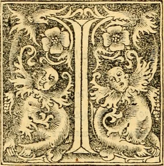An illustration from Novum Testamentum omne, multo quàm antehac diligentius ab Erasmo Roterodamo recognitu, emedatum ac translatum ... : uná cu annotationibus recognitis, ac magna accessione locupletatis ..., 1519, leaf 617