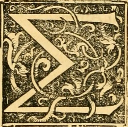 An illustration from Novum Testamentum omne, multo quàm antehac diligentius ab Erasmo Roterodamo recognitu, emedatum ac translatum ... : uná cu annotationibus recognitis, ac magna accessione locupletatis ..., 1519, leaf 633
