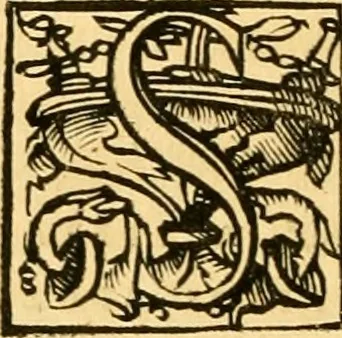 An illustration from Novum Testamentum omne, multo quàm antehac diligentius ab Erasmo Roterodamo recognitu, emedatum ac translatum ... : uná cu annotationibus recognitis, ac magna accessione locupletatis ..., 1519, leaf 633