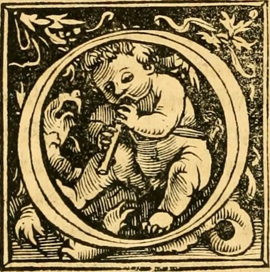 An illustration from Novum Testamentum omne, multo quàm antehac diligentius ab Erasmo Roterodamo recognitu, emedatum ac translatum ... : uná cu annotationibus recognitis, ac magna accessione locupletatis ..., 1519, leaf 639